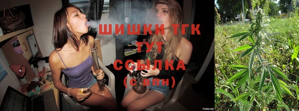 гидропоника Карпинск