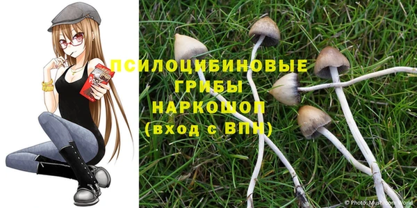 гидропоника Карпинск
