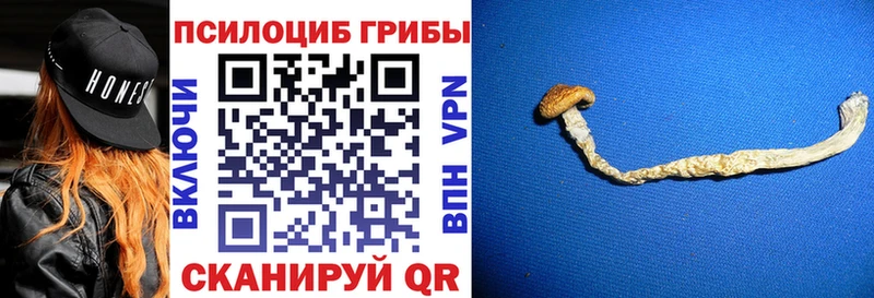 Псилоцибиновые грибы Magic Shrooms Купить где Каргополь