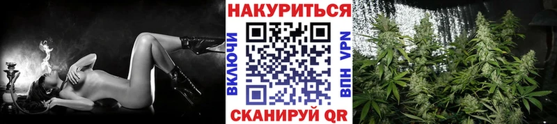 Купить закладки  Каргополь  Шишки марихуана White Widow 